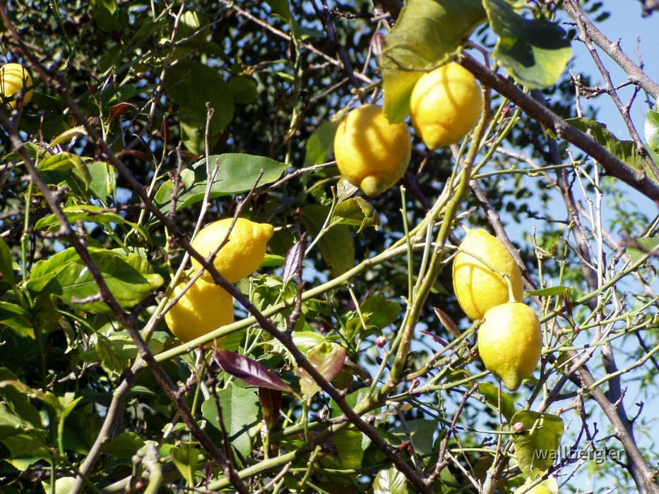 P3050013