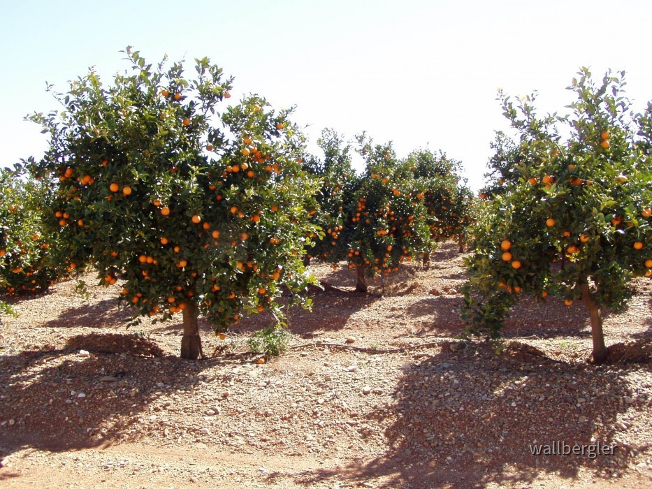 P3050017