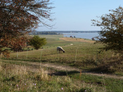Mönchgut