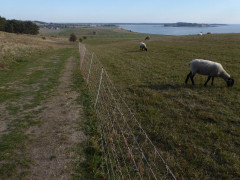 Mönchgut