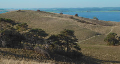 Mönchgut