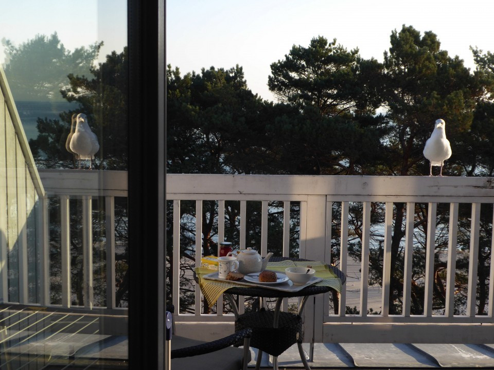 ?random=0&maxWidth=0&embedded=0#imageAnker_17458