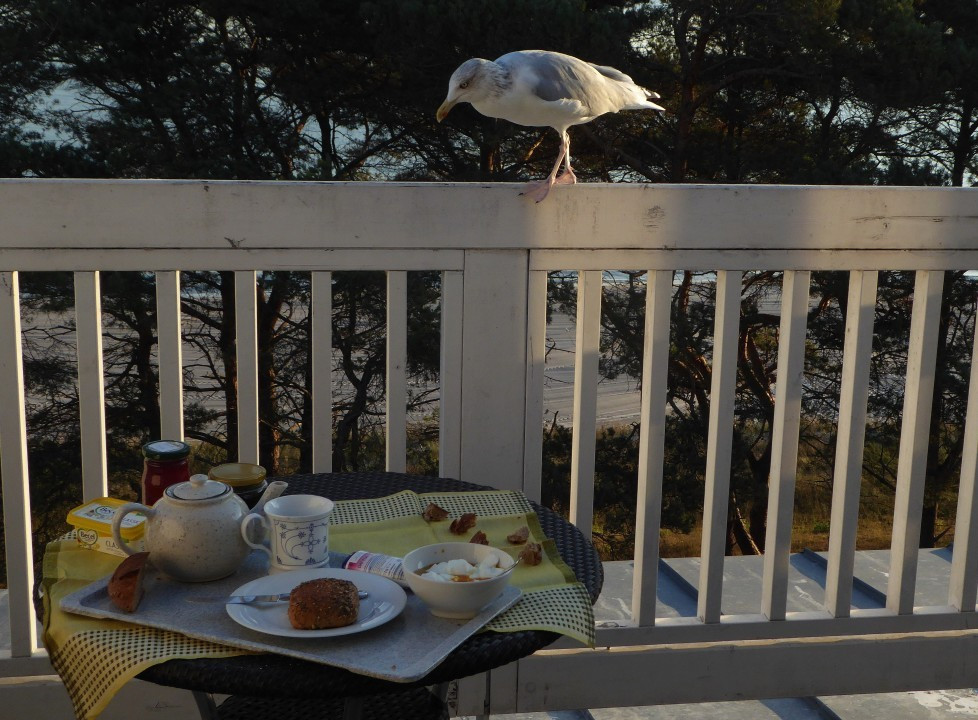 ?random=0&maxWidth=0&embedded=0#imageAnker_17459