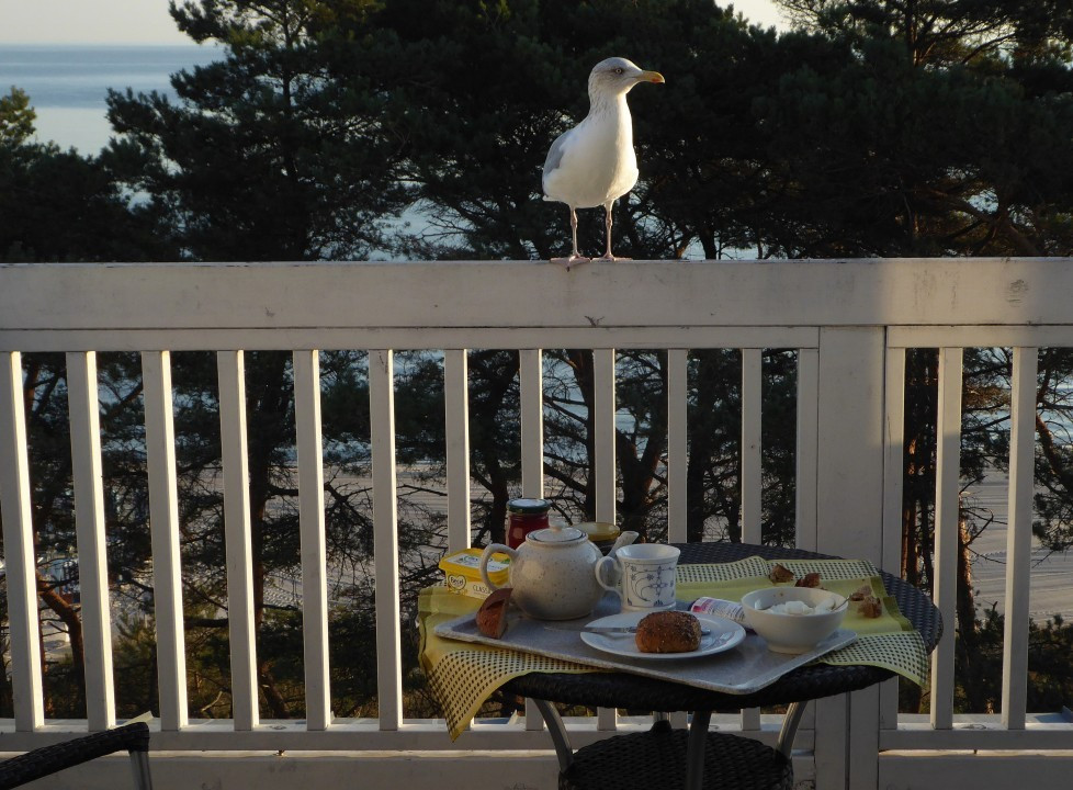 ?random=0&maxWidth=0&embedded=0#imageAnker_17460