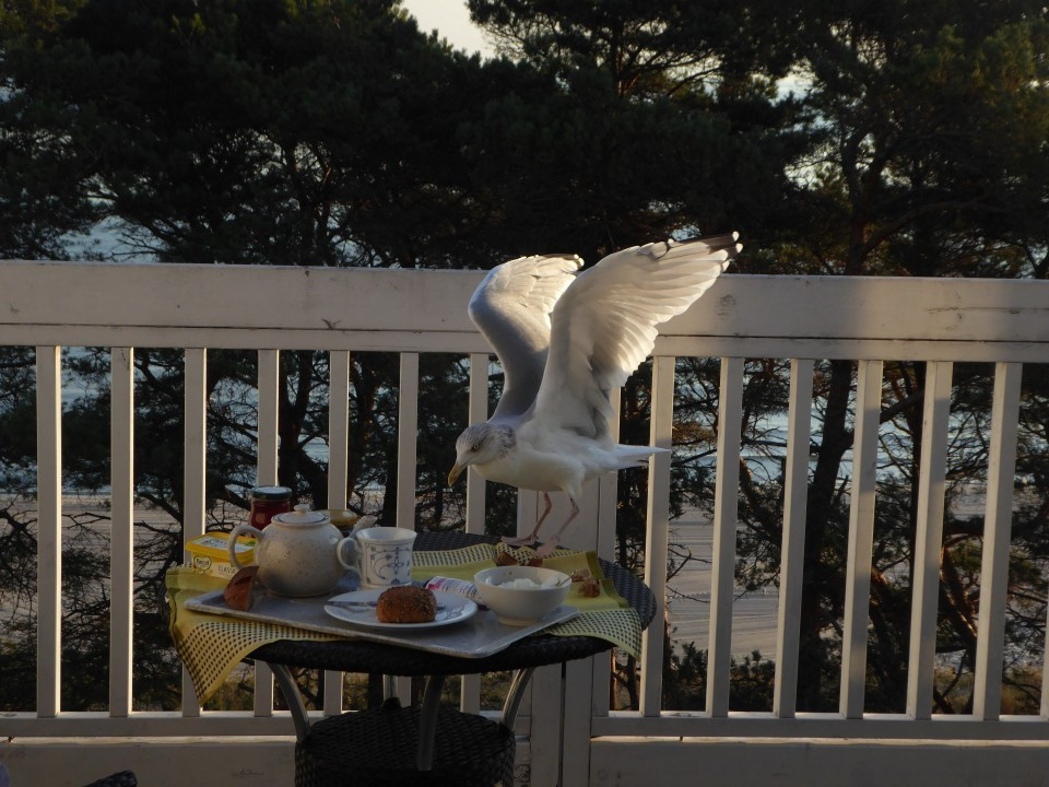 ?random=0&maxWidth=0&embedded=0#imageAnker_17462