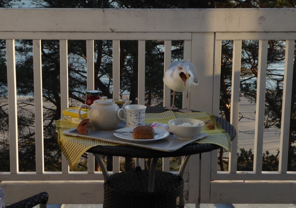 ?random=0&maxWidth=0&embedded=0#imageAnker_17463