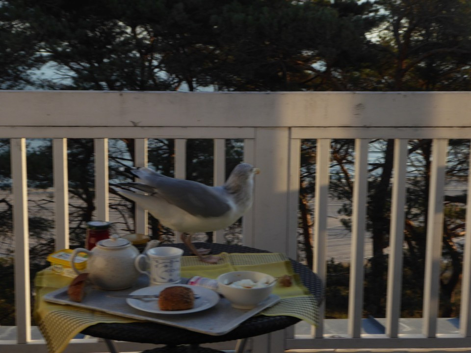 ?random=0&maxWidth=0&embedded=0#imageAnker_17464