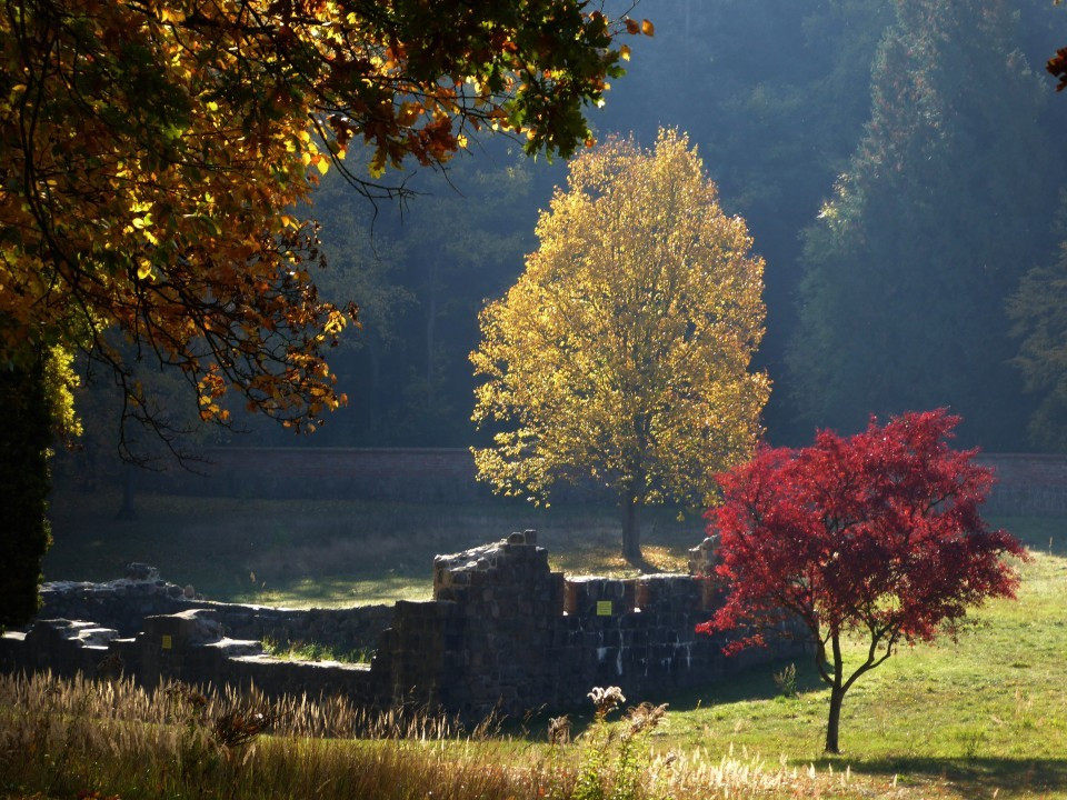 Kloster Chorin