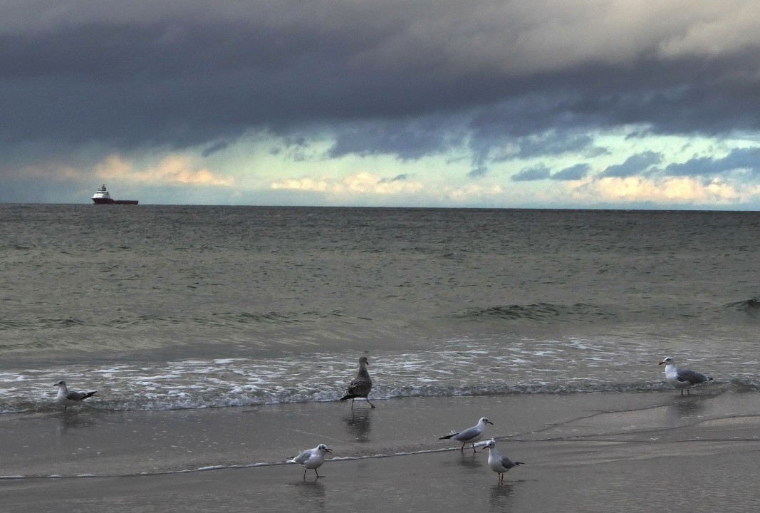 ?random=0&maxWidth=0&embedded=0#imageAnker_17680