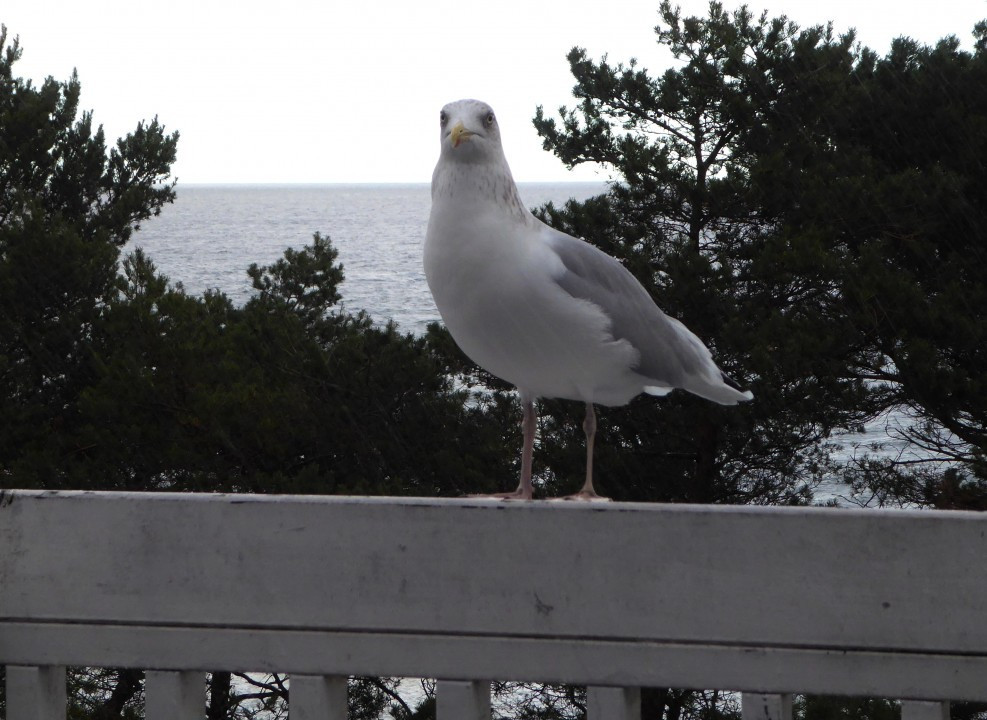 ?random=0&maxWidth=0&embedded=0#imageAnker_17683