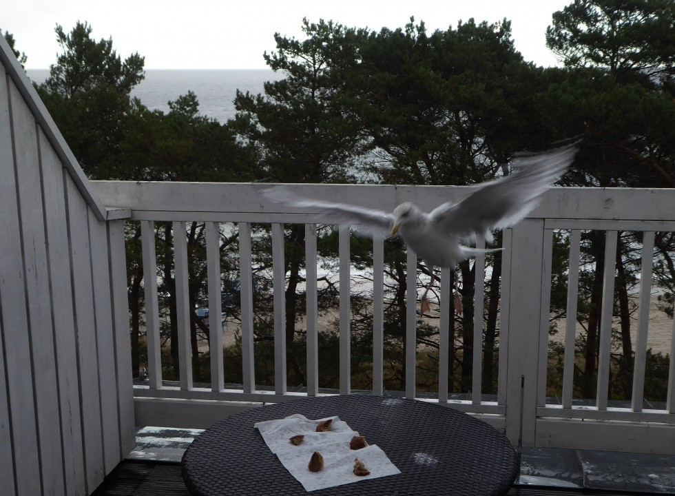 ?random=0&maxWidth=0&embedded=0#imageAnker_17685