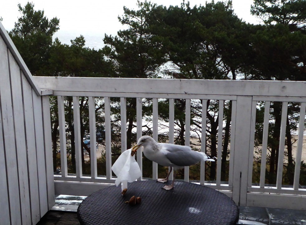 ?random=0&maxWidth=0&embedded=0#imageAnker_17686