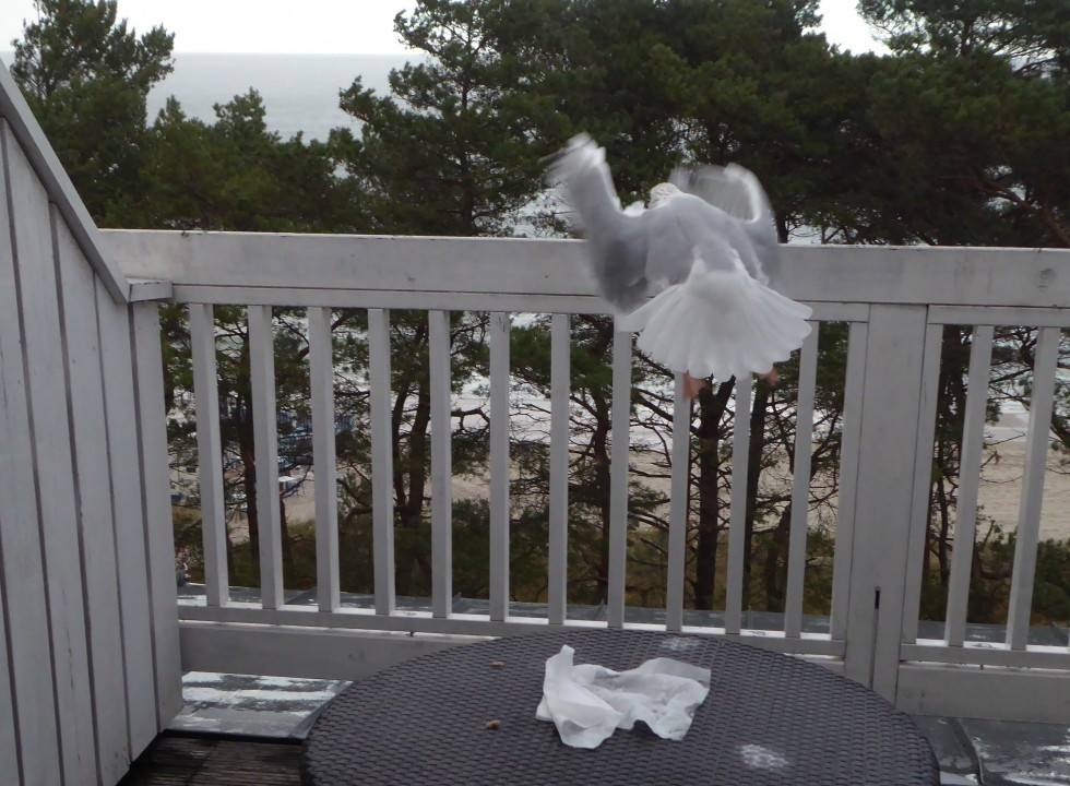 ?random=0&maxWidth=0&embedded=0#imageAnker_17687