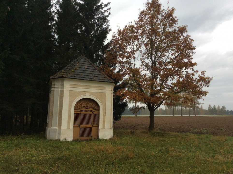 Schickenhof < Nepomuk