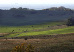 Herbst auf dem Mönchgut , Rügen
