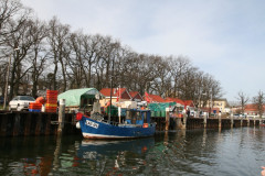 Vilm April 2013