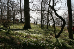 Vilm April 2013  (5)