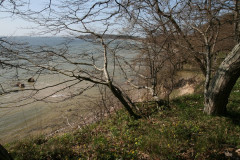 Vilm April 2013  (9)
