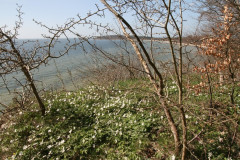 Vilm April 2013  (15)
