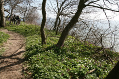 Vilm April 2013  (18)