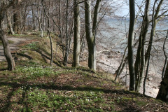 Vilm April 2013  (25)