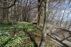 Vilm April 2013  (27)