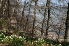 Vilm April 2013  (28)
