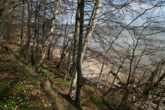 Vilm April 2013  (30)