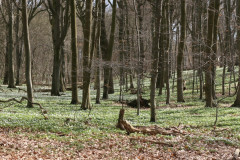 Vilm April 2013  (35)