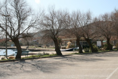 Raslina (17a)
