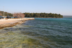 Raslina.aJPG