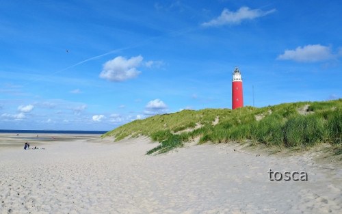 Niederlande - Insel Texel - Vuutoren (Leuchtturm) Texel