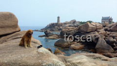 Leuchtturm von Ploumanac`h - Frankreich/Bretagne