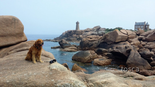Leuchtturm von Ploumanac`h - Frankreich/Bretagne