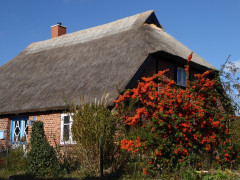 Mönchgut 25 Okt 2018  (4)