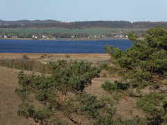 Mönchgut 25 Okt 2018a  (41)