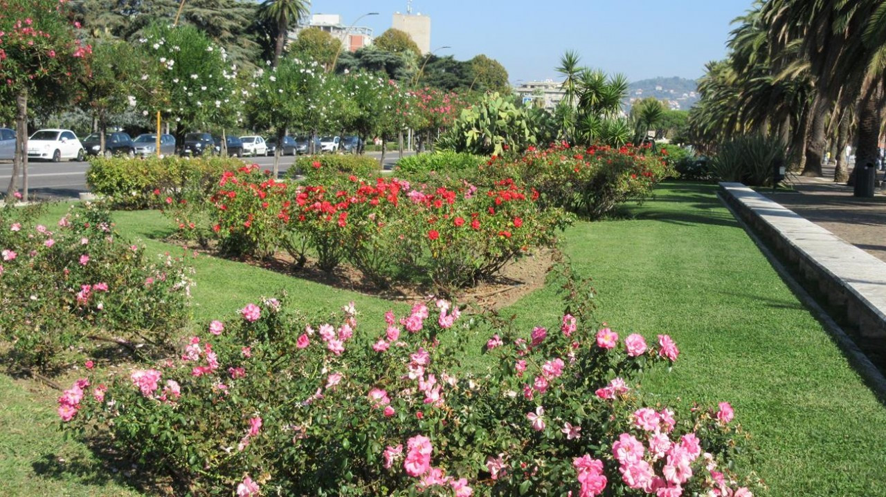 LaSpezia_44