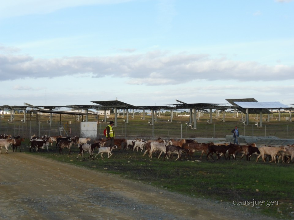 Planta Solar 20