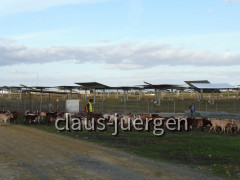 Planta Solar 20