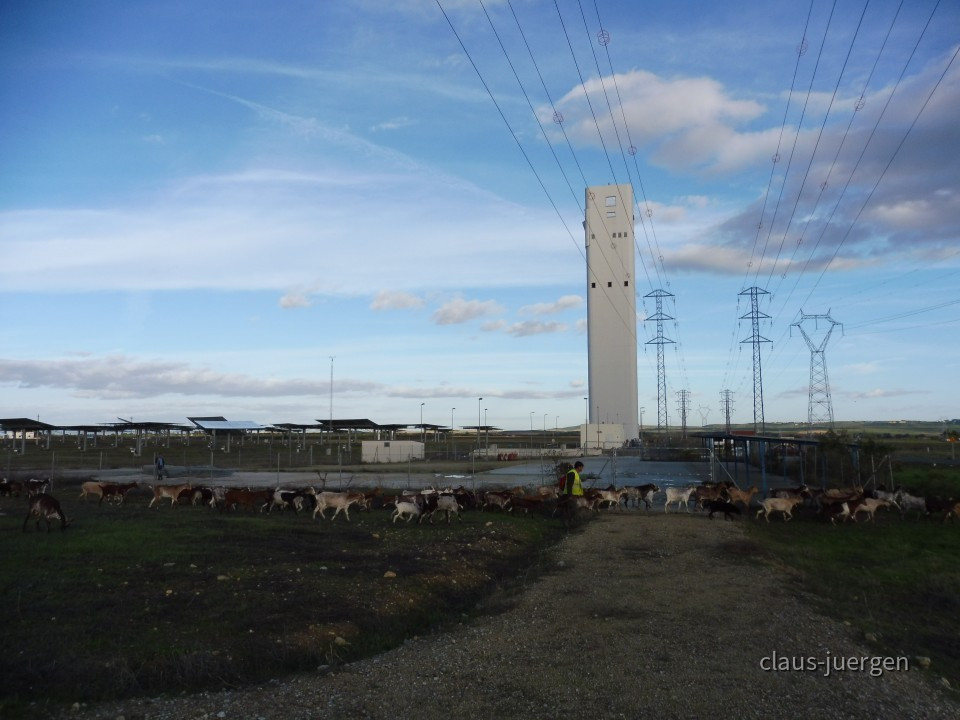 Planta Solar 20