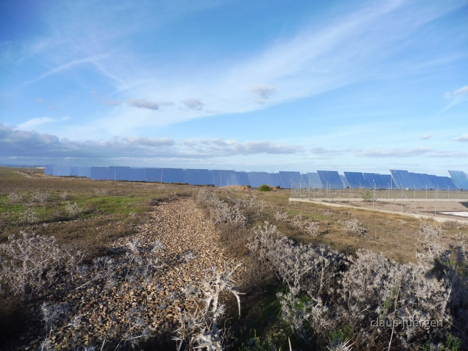 Planta Solar 20