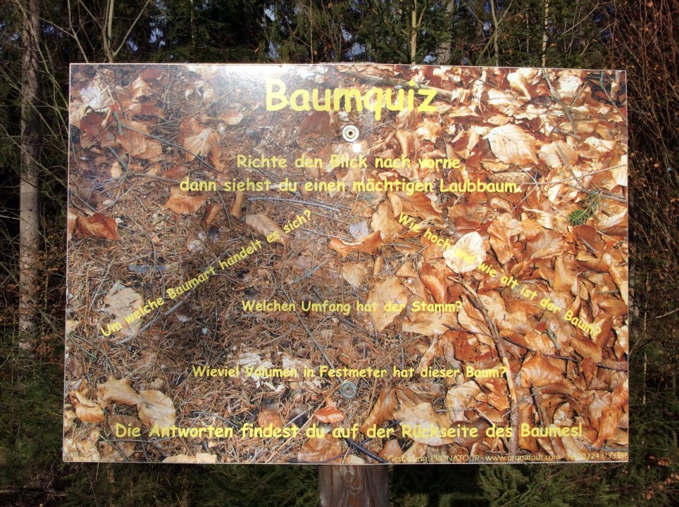 Baumrätsel