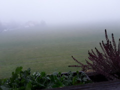 Novemberwetter