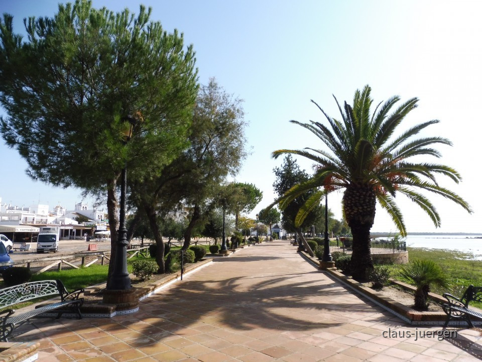 El Rocio