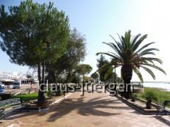 El Rocio