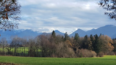 1. Dezember Spaziergang