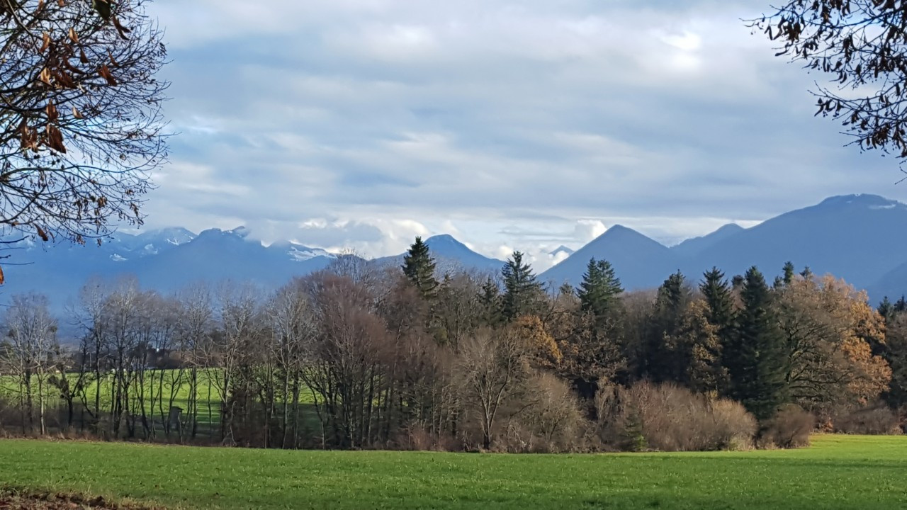 1. Dezember Spaziergang