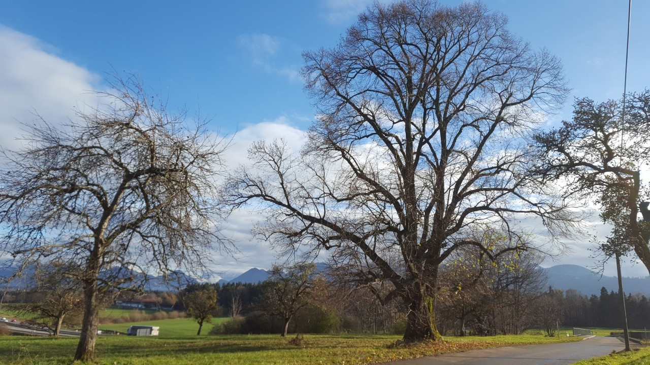 1. Dezember Spaziergang