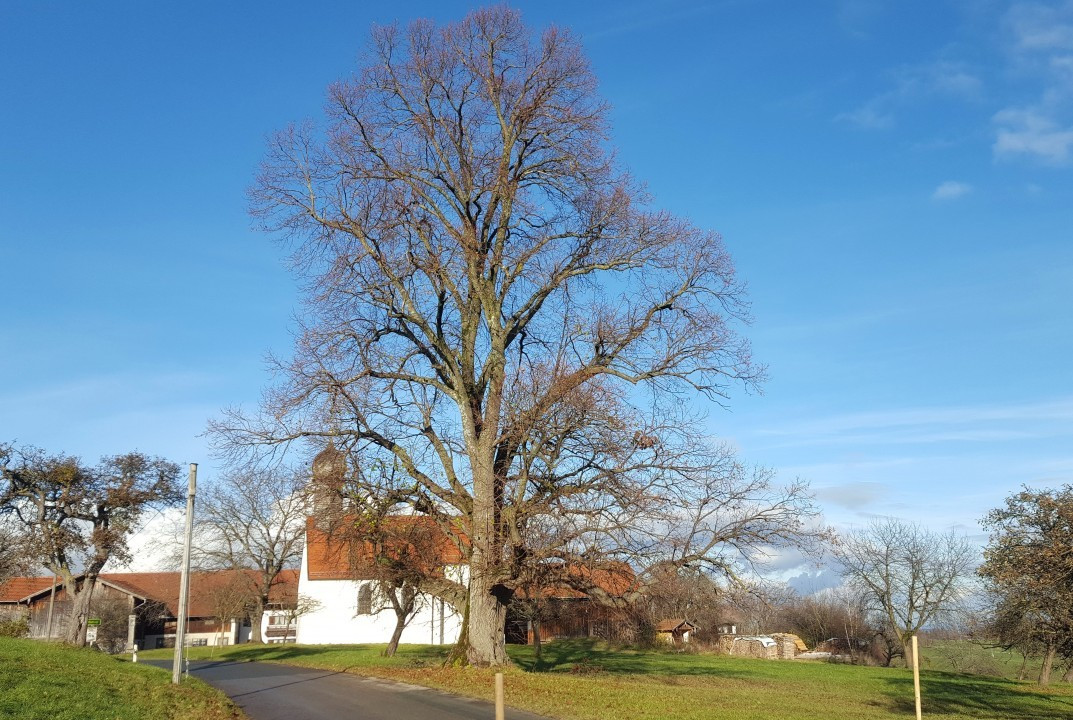 1. Dezember Spaziergang