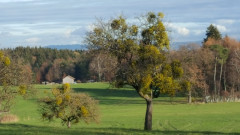 1. Dezember Spaziergang